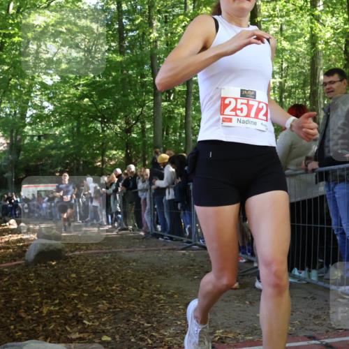 28.09.2025 - 33. Volkslauf durch das schöne Alstertal Strokosch-Dieckow http://msf.ph/oto/8973236 28.09.2025 12:14:30 Ziel 1056, 1086, 2340 meine-sportfotos.de
