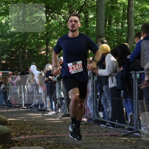 28.09.2025 - 33. Volkslauf durch das schöne Alstertal Strokosch-Dieckow http://msf.ph/oto/8973238 28.09.2025 12:14:32 Ziel 1056, 1086, 1730, 2340 meine-sportfotos.de