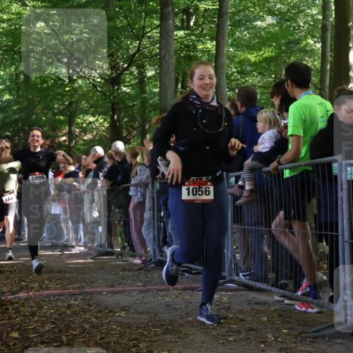 28.09.2025 - 33. Volkslauf durch das schöne Alstertal Strokosch-Dieckow http://msf.ph/oto/8973246 28.09.2025 12:14:39 Ziel 1056, 1086, 1730, 2999 meine-sportfotos.de