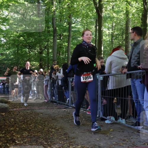 28.09.2025 - 33. Volkslauf durch das schöne Alstertal Strokosch-Dieckow http://msf.ph/oto/8973247 28.09.2025 12:14:39 Ziel 1056, 1086, 1730, 2999 meine-sportfotos.de