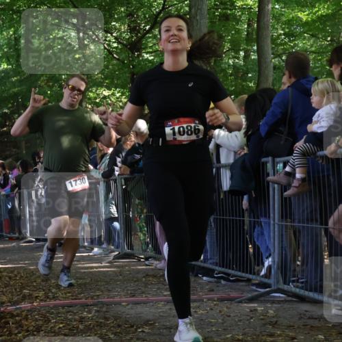 28.09.2025 - 33. Volkslauf durch das schöne Alstertal Strokosch-Dieckow http://msf.ph/oto/8973248 28.09.2025 12:14:40 Ziel 1086, 1730, 2999 meine-sportfotos.de