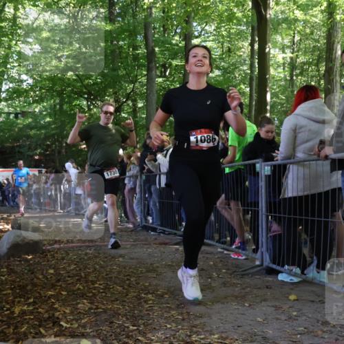 28.09.2025 - 33. Volkslauf durch das schöne Alstertal Strokosch-Dieckow http://msf.ph/oto/8973249 28.09.2025 12:14:41 Ziel 1730, 2324, 2999 meine-sportfotos.de