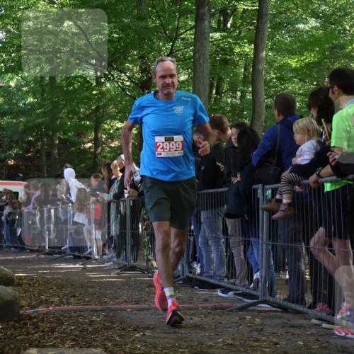 28.09.2025 - 33. Volkslauf durch das schöne Alstertal Strokosch-Dieckow http://msf.ph/oto/8973255 28.09.2025 12:14:45 Ziel 2235, 2324, 2999 meine-sportfotos.de