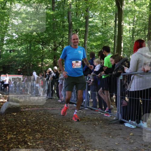 28.09.2025 - 33. Volkslauf durch das schöne Alstertal Strokosch-Dieckow http://msf.ph/oto/8973256 28.09.2025 12:14:46 Ziel 2235, 2324, 2999 meine-sportfotos.de