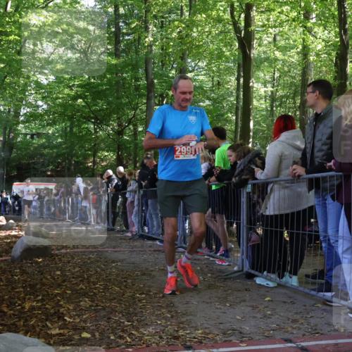 28.09.2025 - 33. Volkslauf durch das schöne Alstertal Strokosch-Dieckow http://msf.ph/oto/8973257 28.09.2025 12:14:46 Ziel 2235, 2324, 2999 meine-sportfotos.de