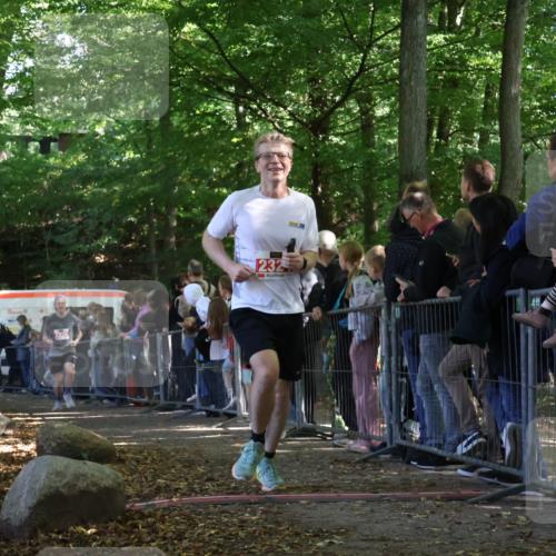 28.09.2025 - 33. Volkslauf durch das schöne Alstertal Strokosch-Dieckow http://msf.ph/oto/8973262 28.09.2025 12:14:50 Ziel 2235, 2324, 2529 meine-sportfotos.de