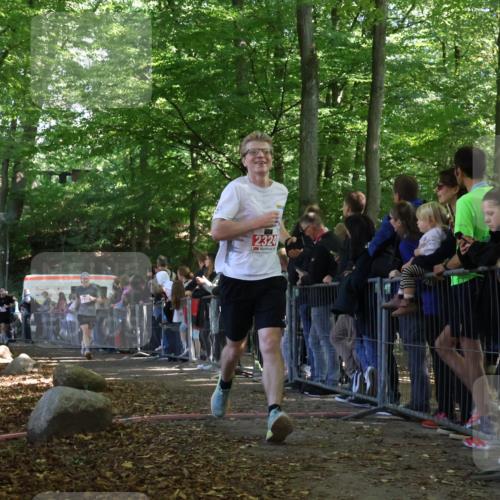 28.09.2025 - 33. Volkslauf durch das schöne Alstertal Strokosch-Dieckow http://msf.ph/oto/8973263 28.09.2025 12:14:51 Ziel 1077, 2235, 2324, 2529 meine-sportfotos.de