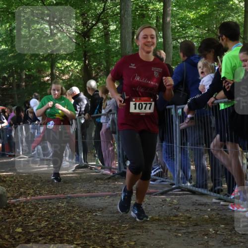 28.09.2025 - 33. Volkslauf durch das schöne Alstertal Strokosch-Dieckow http://msf.ph/oto/8973268 28.09.2025 12:15:01 Ziel 1059, 1077, 2270, 3206 meine-sportfotos.de