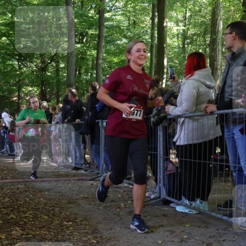 28.09.2025 - 33. Volkslauf durch das schöne Alstertal Strokosch-Dieckow http://msf.ph/oto/8973269 28.09.2025 12:15:02 Ziel 1059, 2270, 3206 meine-sportfotos.de