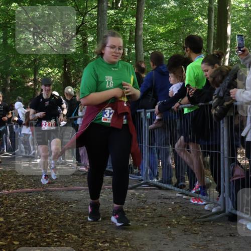 28.09.2025 - 33. Volkslauf durch das schöne Alstertal Strokosch-Dieckow http://msf.ph/oto/8973271 28.09.2025 12:15:03 Ziel 1059, 2270, 3206 meine-sportfotos.de
