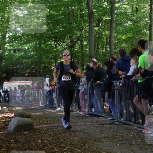 28.09.2025 - 33. Volkslauf durch das schöne Alstertal Strokosch-Dieckow http://msf.ph/oto/8973278 28.09.2025 12:15:08 Ziel 1059, 2451 meine-sportfotos.de