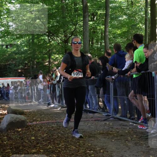 28.09.2025 - 33. Volkslauf durch das schöne Alstertal Strokosch-Dieckow http://msf.ph/oto/8973279 28.09.2025 12:15:08 Ziel 1059, 2451 meine-sportfotos.de
