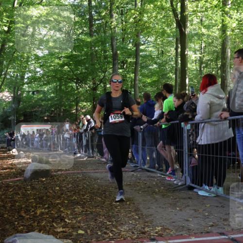 28.09.2025 - 33. Volkslauf durch das schöne Alstertal Strokosch-Dieckow http://msf.ph/oto/8973280 28.09.2025 12:15:09 Ziel 2451 meine-sportfotos.de