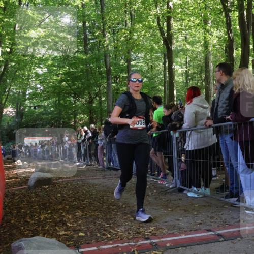 28.09.2025 - 33. Volkslauf durch das schöne Alstertal Strokosch-Dieckow http://msf.ph/oto/8973281 28.09.2025 12:15:09 Ziel 2451 meine-sportfotos.de