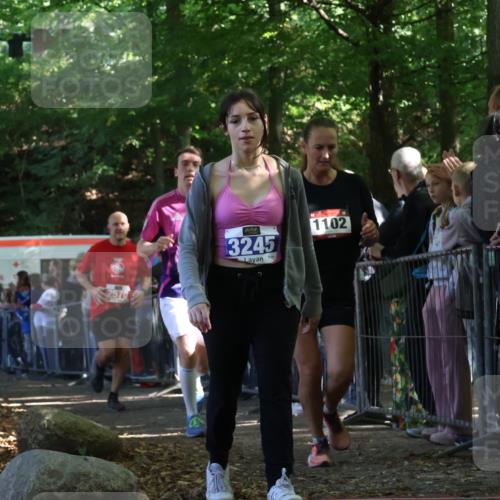 28.09.2025 - 33. Volkslauf durch das schöne Alstertal Strokosch-Dieckow http://msf.ph/oto/8973292 28.09.2025 12:15:27 Ziel 1102, 1687, 2191, 2570, 2593, 3245 meine-sportfotos.de