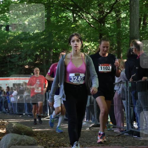 28.09.2025 - 33. Volkslauf durch das schöne Alstertal Strokosch-Dieckow http://msf.ph/oto/8973293 28.09.2025 12:15:28 Ziel 1102, 1687, 2191, 2570, 2593 meine-sportfotos.de