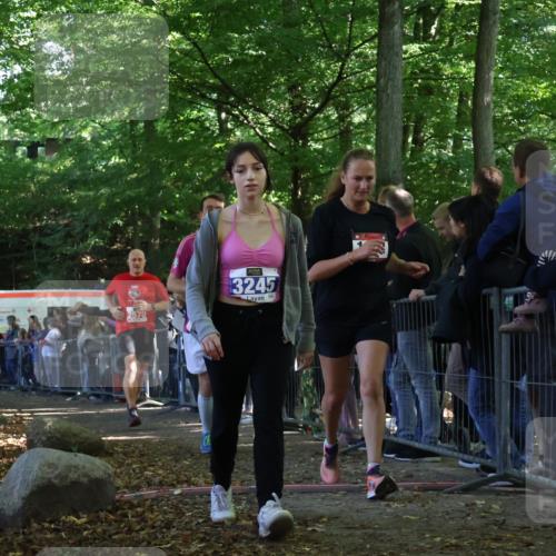 28.09.2025 - 33. Volkslauf durch das schöne Alstertal Strokosch-Dieckow http://msf.ph/oto/8973294 28.09.2025 12:15:28 Ziel 1102, 1687, 2191, 2570, 2593 meine-sportfotos.de