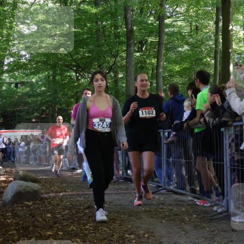 28.09.2025 - 33. Volkslauf durch das schöne Alstertal Strokosch-Dieckow http://msf.ph/oto/8973295 28.09.2025 12:15:29 Ziel 1102, 1687, 2191, 2570, 2593 meine-sportfotos.de
