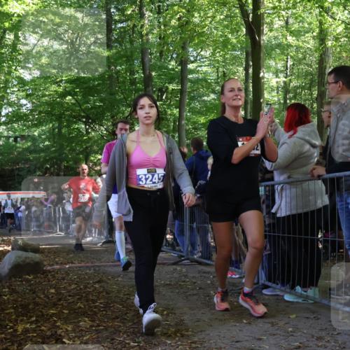 28.09.2025 - 33. Volkslauf durch das schöne Alstertal Strokosch-Dieckow http://msf.ph/oto/8973297 28.09.2025 12:15:30 Ziel 1687, 2191, 2570, 2593 meine-sportfotos.de