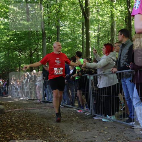28.09.2025 - 33. Volkslauf durch das schöne Alstertal Strokosch-Dieckow http://msf.ph/oto/8973300 28.09.2025 12:15:32 Ziel 2191, 2570, 2593 meine-sportfotos.de