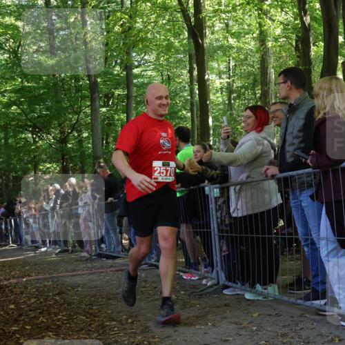 28.09.2025 - 33. Volkslauf durch das schöne Alstertal Strokosch-Dieckow http://msf.ph/oto/8973301 28.09.2025 12:15:32 Ziel 2191, 2570, 2593 meine-sportfotos.de