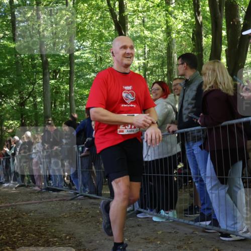 28.09.2025 - 33. Volkslauf durch das schöne Alstertal Strokosch-Dieckow http://msf.ph/oto/8973302 28.09.2025 12:15:33 Ziel 2191, 2593 meine-sportfotos.de