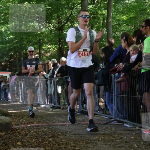 28.09.2025 - 33. Volkslauf durch das schöne Alstertal Strokosch-Dieckow http://msf.ph/oto/8973306 28.09.2025 12:15:36 Ziel 1666, 2191, 2593 meine-sportfotos.de