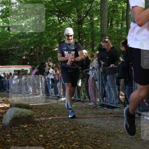 28.09.2025 - 33. Volkslauf durch das schöne Alstertal Strokosch-Dieckow http://msf.ph/oto/8973307 28.09.2025 12:15:36 Ziel 1666, 2191, 2593 meine-sportfotos.de