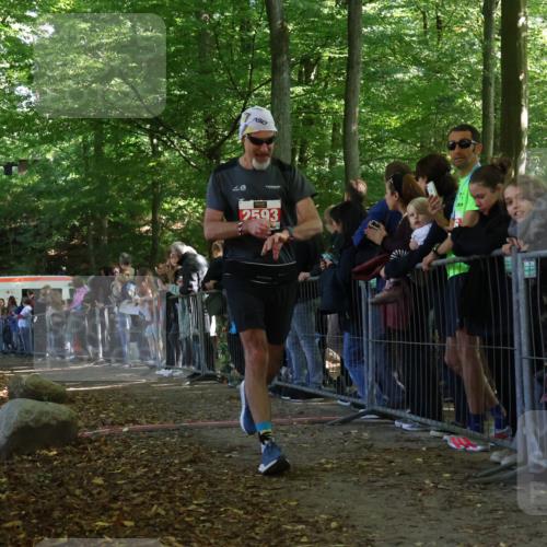 28.09.2025 - 33. Volkslauf durch das schöne Alstertal Strokosch-Dieckow http://msf.ph/oto/8973309 28.09.2025 12:15:37 Ziel 1666, 2166, 2593 meine-sportfotos.de