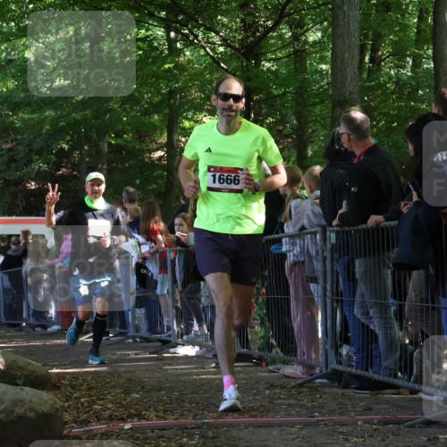 28.09.2025 - 33. Volkslauf durch das schöne Alstertal Strokosch-Dieckow http://msf.ph/oto/8973314 28.09.2025 12:15:44 Ziel 1666, 1718, 2166 meine-sportfotos.de