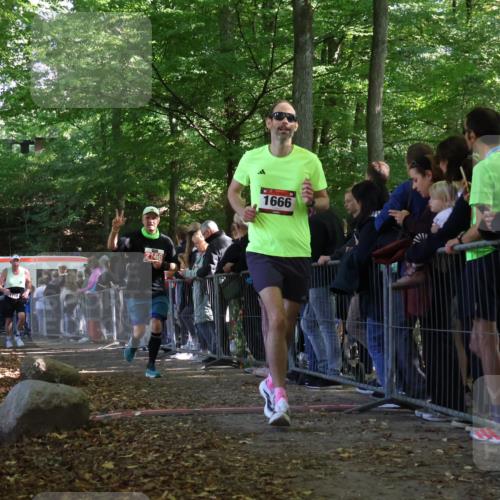 28.09.2025 - 33. Volkslauf durch das schöne Alstertal Strokosch-Dieckow http://msf.ph/oto/8973315 28.09.2025 12:15:45 Ziel 1666, 1718, 2166 meine-sportfotos.de