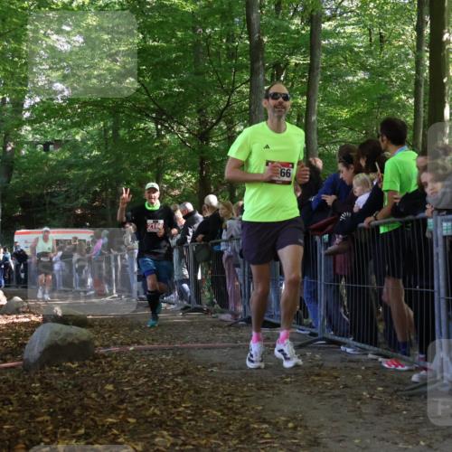 28.09.2025 - 33. Volkslauf durch das schöne Alstertal Strokosch-Dieckow http://msf.ph/oto/8973316 28.09.2025 12:15:45 Ziel 1666, 1718, 2166 meine-sportfotos.de