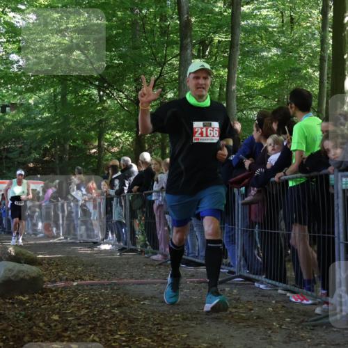 28.09.2025 - 33. Volkslauf durch das schöne Alstertal Strokosch-Dieckow http://msf.ph/oto/8973319 28.09.2025 12:15:47 Ziel 1718, 2166 meine-sportfotos.de