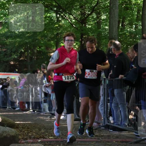 28.09.2025 - 33. Volkslauf durch das schöne Alstertal Strokosch-Dieckow http://msf.ph/oto/8973328 28.09.2025 12:16:01 Ziel 1075, 1093, 2300 meine-sportfotos.de
