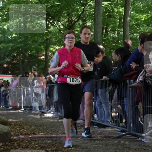 28.09.2025 - 33. Volkslauf durch das schöne Alstertal Strokosch-Dieckow http://msf.ph/oto/8973329 28.09.2025 12:16:02 Ziel 1075, 1093, 2300 meine-sportfotos.de