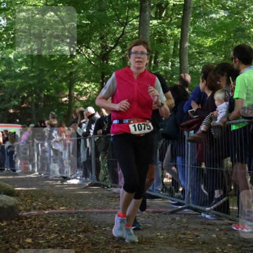 28.09.2025 - 33. Volkslauf durch das schöne Alstertal Strokosch-Dieckow http://msf.ph/oto/8973330 28.09.2025 12:16:02 Ziel 1075, 1093, 2300 meine-sportfotos.de