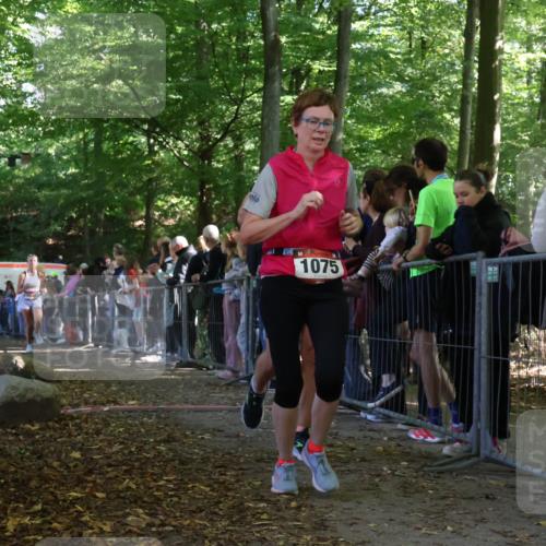 28.09.2025 - 33. Volkslauf durch das schöne Alstertal Strokosch-Dieckow http://msf.ph/oto/8973331 28.09.2025 12:16:02 Ziel 1075, 1093, 2300 meine-sportfotos.de