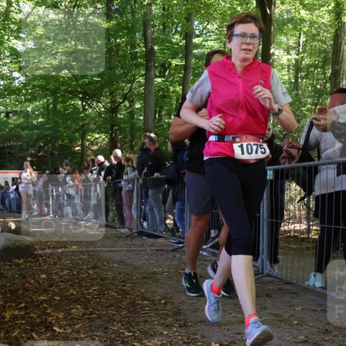 28.09.2025 - 33. Volkslauf durch das schöne Alstertal Strokosch-Dieckow http://msf.ph/oto/8973332 28.09.2025 12:16:03 Ziel 1093, 2443 meine-sportfotos.de
