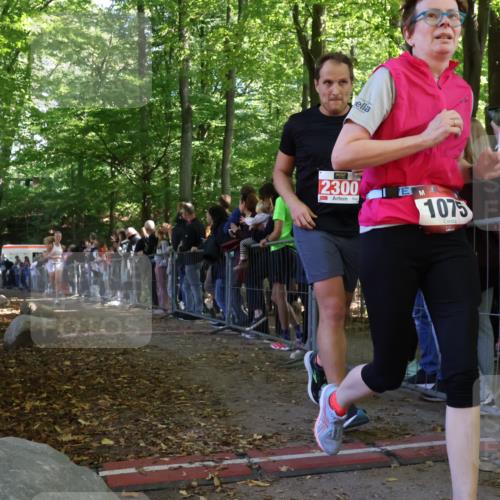 28.09.2025 - 33. Volkslauf durch das schöne Alstertal Strokosch-Dieckow http://msf.ph/oto/8973333 28.09.2025 12:16:03 Ziel 1093, 2443 meine-sportfotos.de