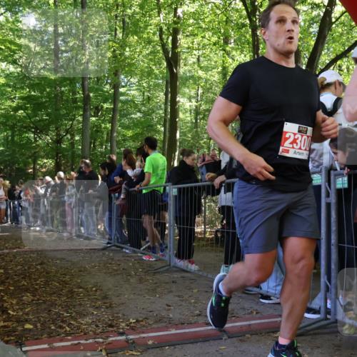 28.09.2025 - 33. Volkslauf durch das schöne Alstertal Strokosch-Dieckow http://msf.ph/oto/8973334 28.09.2025 12:16:04 Ziel 1093, 2443 meine-sportfotos.de