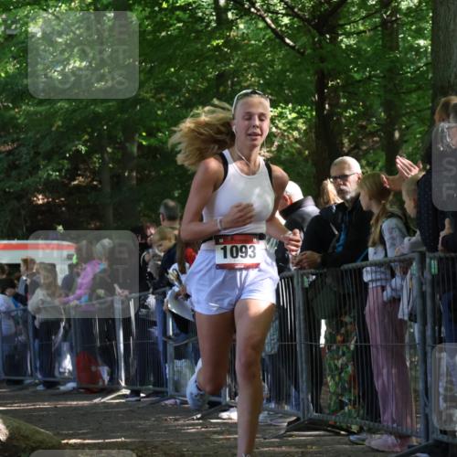 28.09.2025 - 33. Volkslauf durch das schöne Alstertal Strokosch-Dieckow http://msf.ph/oto/8973335 28.09.2025 12:16:06 Ziel 1093, 2443 meine-sportfotos.de