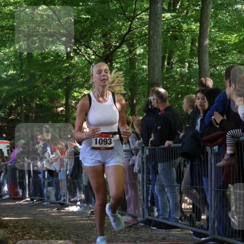 28.09.2025 - 33. Volkslauf durch das schöne Alstertal Strokosch-Dieckow http://msf.ph/oto/8973336 28.09.2025 12:16:06 Ziel 1093, 2443 meine-sportfotos.de