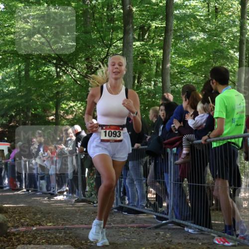 28.09.2025 - 33. Volkslauf durch das schöne Alstertal Strokosch-Dieckow http://msf.ph/oto/8973337 28.09.2025 12:16:07 Ziel 1093, 2443 meine-sportfotos.de