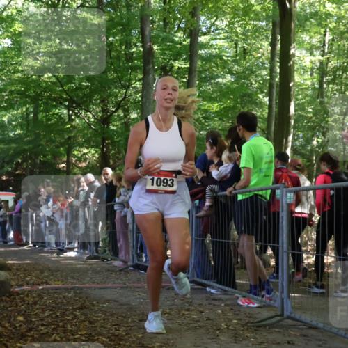 28.09.2025 - 33. Volkslauf durch das schöne Alstertal Strokosch-Dieckow http://msf.ph/oto/8973338 28.09.2025 12:16:07 Ziel 1093, 2443 meine-sportfotos.de