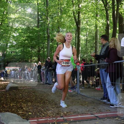 28.09.2025 - 33. Volkslauf durch das schöne Alstertal Strokosch-Dieckow http://msf.ph/oto/8973339 28.09.2025 12:16:07 Ziel 1093, 2443 meine-sportfotos.de