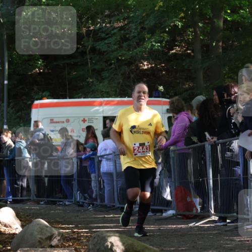 28.09.2025 - 33. Volkslauf durch das schöne Alstertal Strokosch-Dieckow http://msf.ph/oto/8973340 28.09.2025 12:16:10 Ziel 2443 meine-sportfotos.de