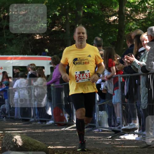 28.09.2025 - 33. Volkslauf durch das schöne Alstertal Strokosch-Dieckow http://msf.ph/oto/8973342 28.09.2025 12:16:11 Ziel 2443 meine-sportfotos.de