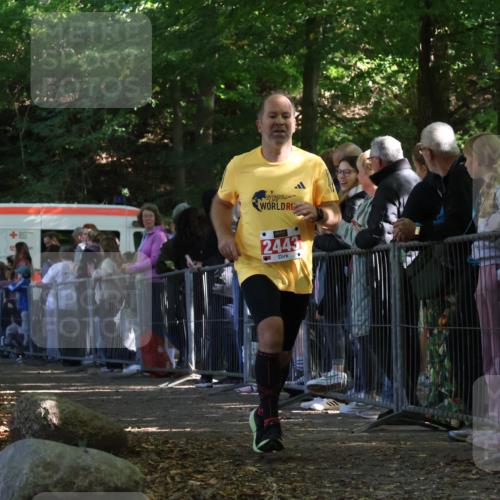 28.09.2025 - 33. Volkslauf durch das schöne Alstertal Strokosch-Dieckow http://msf.ph/oto/8973343 28.09.2025 12:16:12 Ziel 1732, 2443 meine-sportfotos.de