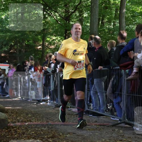 28.09.2025 - 33. Volkslauf durch das schöne Alstertal Strokosch-Dieckow http://msf.ph/oto/8973345 28.09.2025 12:16:13 Ziel 1732, 2098, 2443, 2614 meine-sportfotos.de