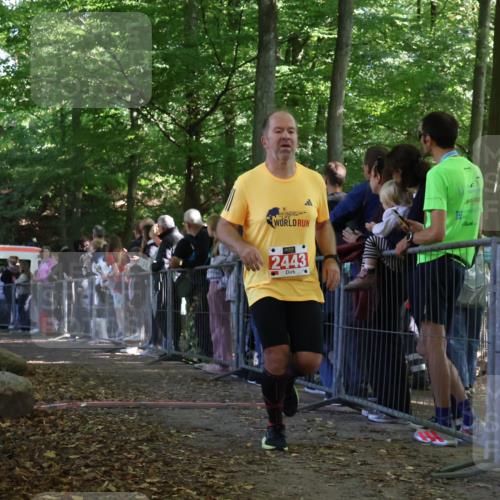 28.09.2025 - 33. Volkslauf durch das schöne Alstertal Strokosch-Dieckow http://msf.ph/oto/8973346 28.09.2025 12:16:13 Ziel 1732, 2098, 2443, 2614 meine-sportfotos.de